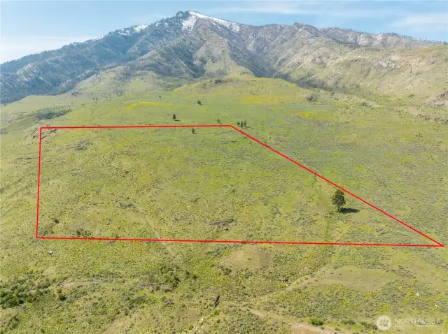 Property lines are approximate