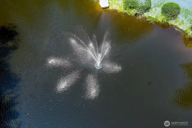 Soothing Aeration fountain keeps pond sparkling.