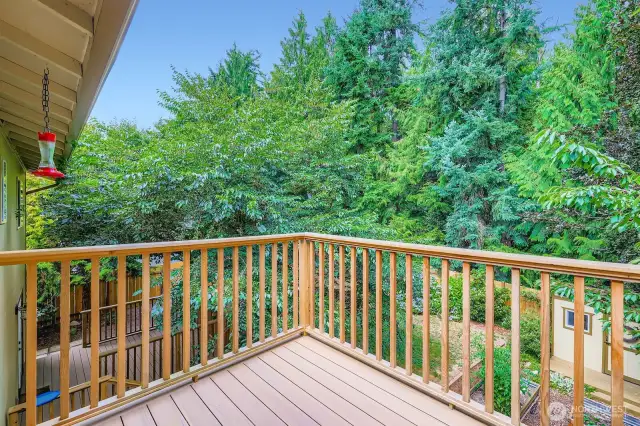 Upstairs deck