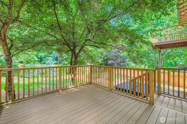 Back deck