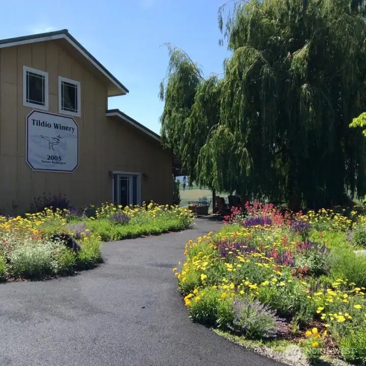 Welcoming garden pathway