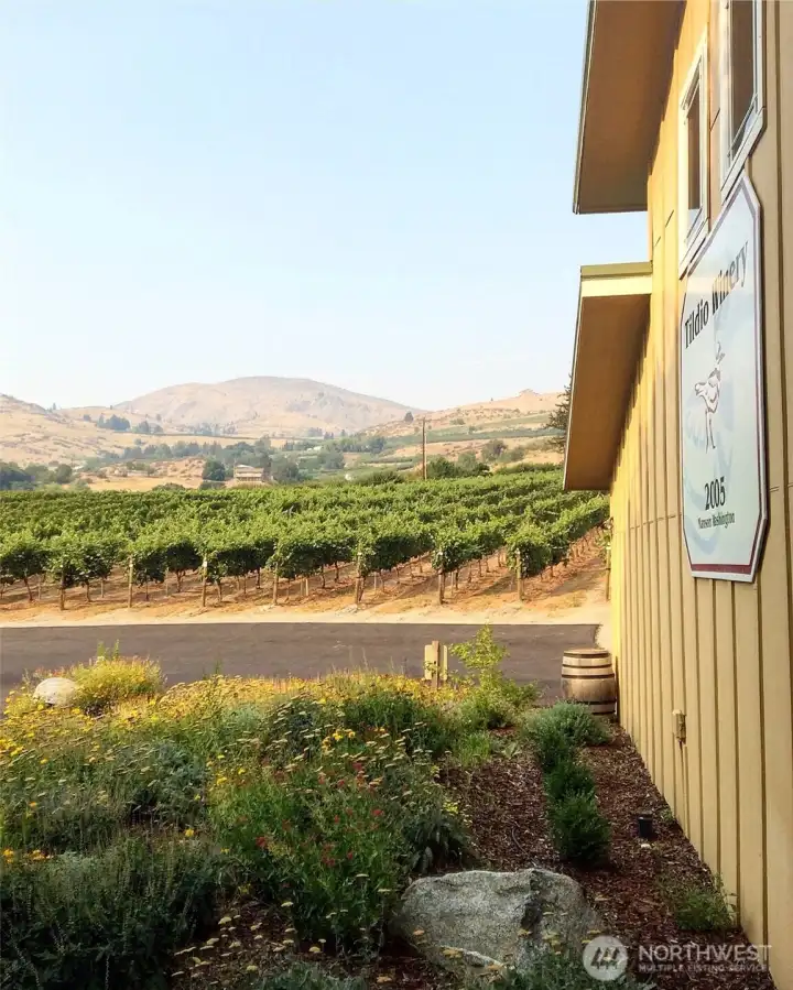 Vineyards