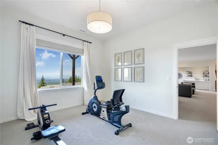 Bedroom suite on lower level