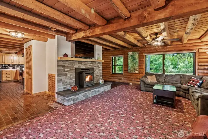 Living room with pellet stove insert.