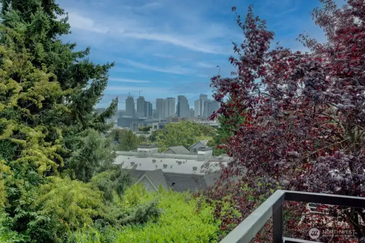 The view from the condo deck.