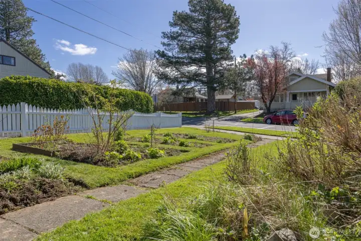 Looking toward the southeast across the front lawn and garden beds.