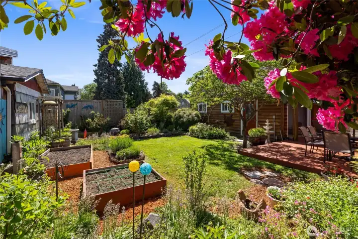 Raised garden beds are ready for your vegetables.