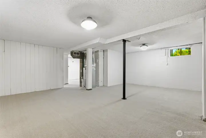 Finished Basement
