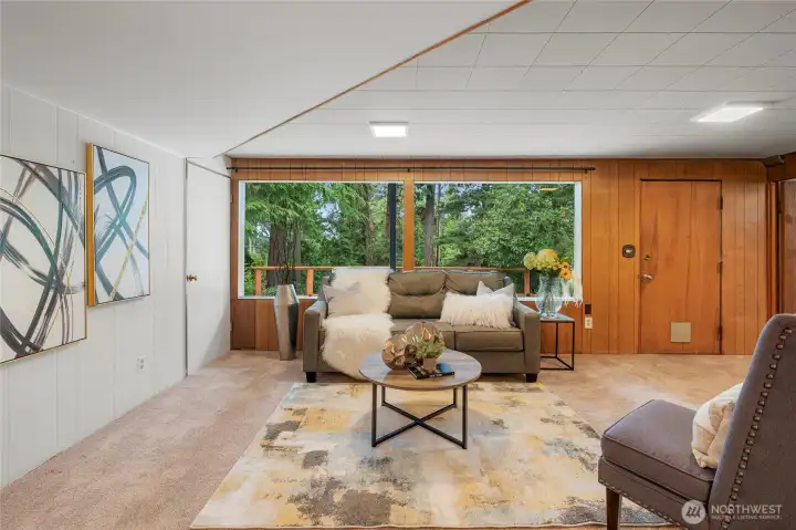 Lower level living area