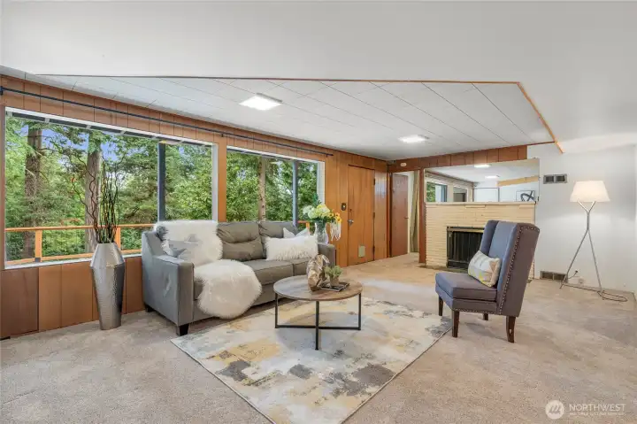 Lower level living area