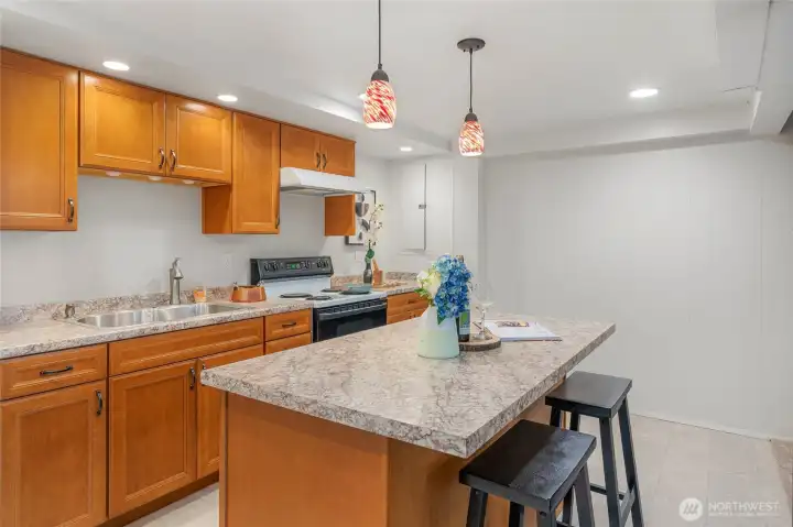Lower level kitchen