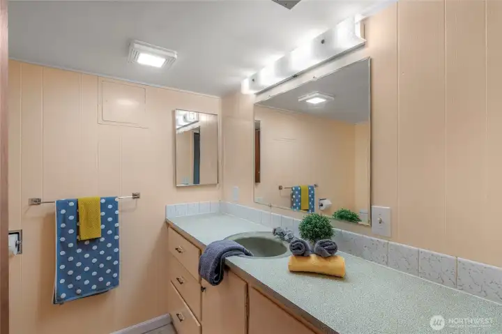 Lower level bathroom