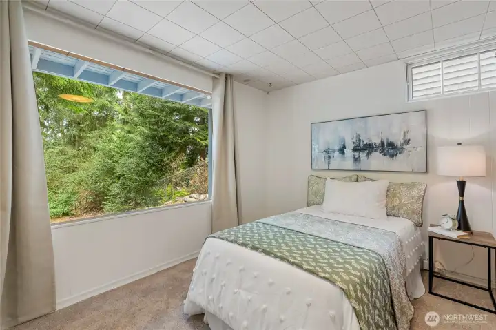 Lower level bedroom
