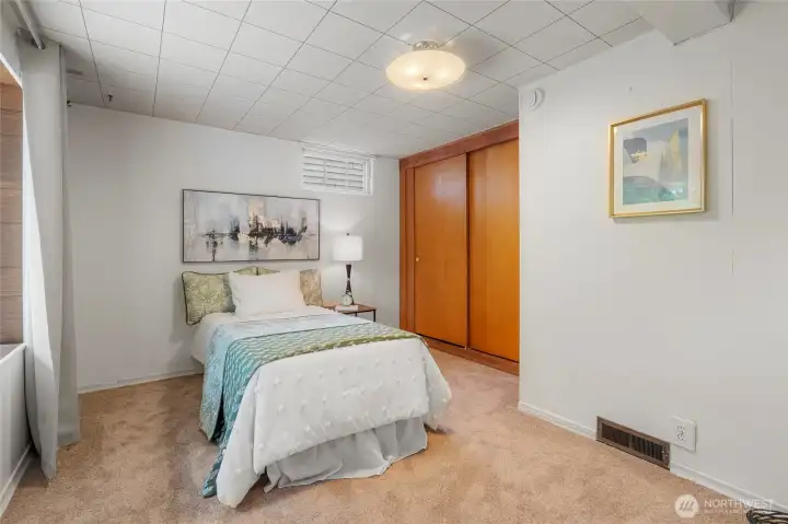 Lower level bedroom