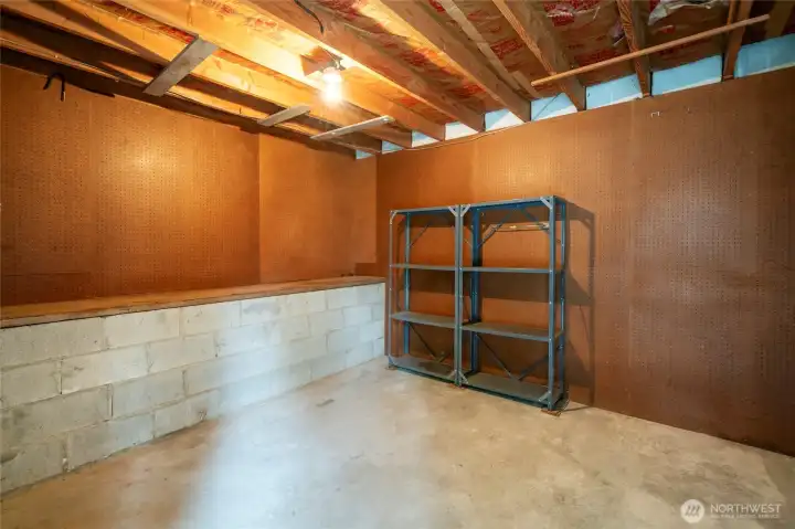 lower level storage room