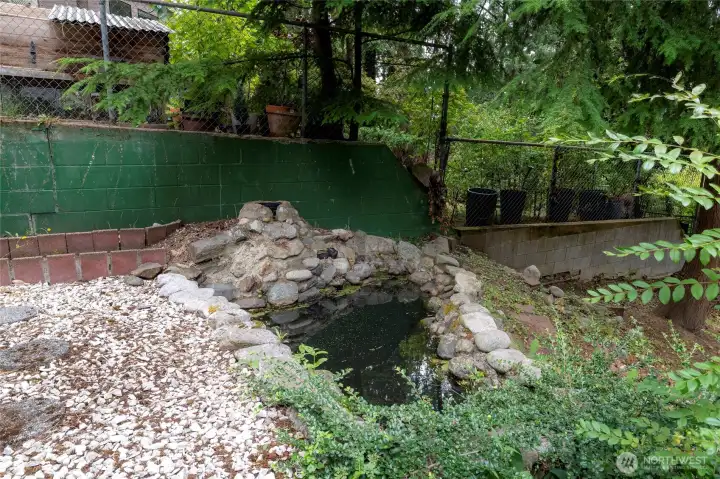 Backyard ornamental pond