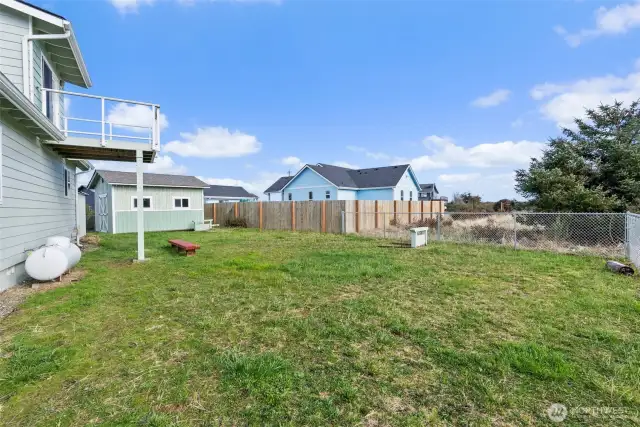 Back yard