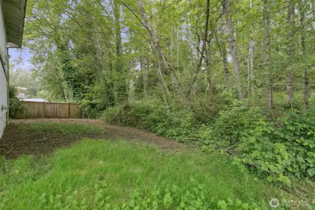 Back yard extends beyond the brush