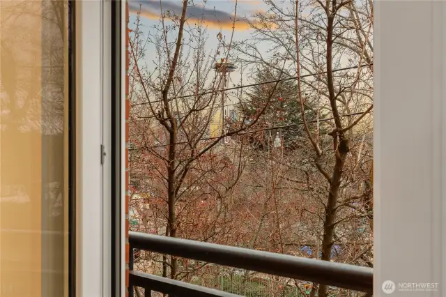 Seasonal Space Needle views.