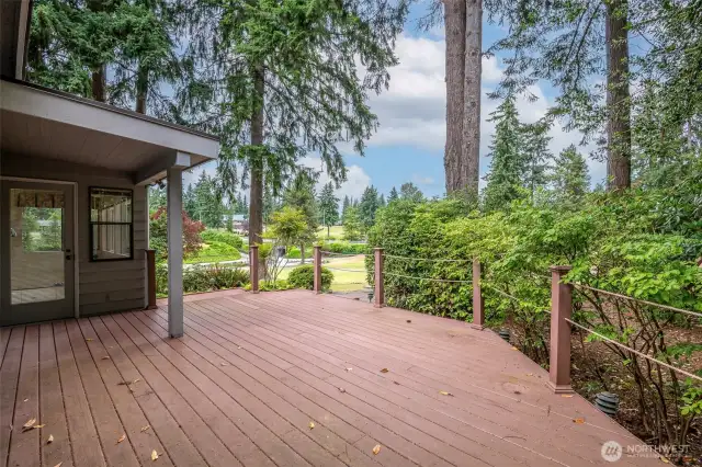 Trex Deck to enjoy those summer nights