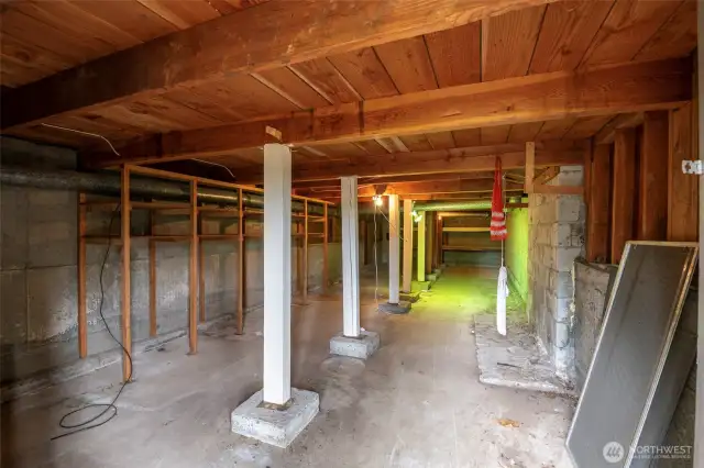 Unfinished basement - perfect for storage