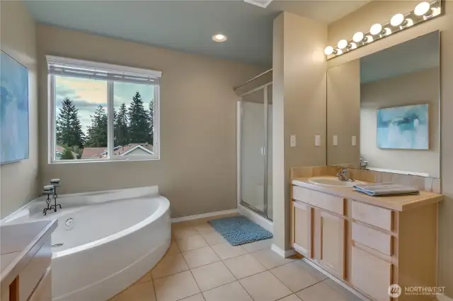 Large tub, seperate shower, and sinks.