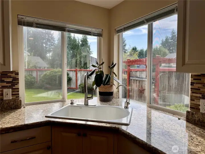 Corner sink with windows looking out to the backyard with the ability to see the water fountain and the cul-de-sac when the gate is open.