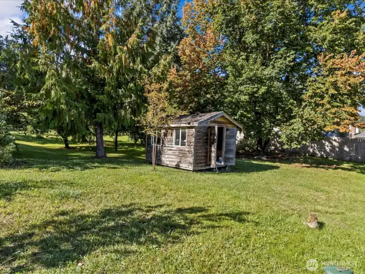 Back yard with orchards