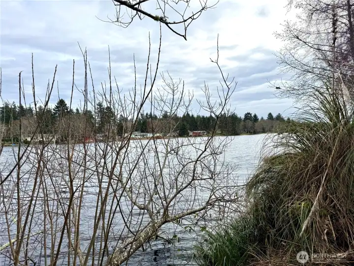 All kinds of wildlife, especially birds!