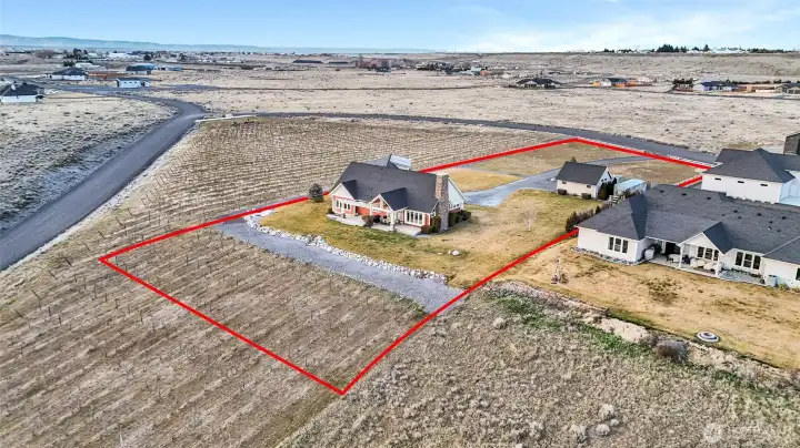 The vineyard hosts award-winning grapes for the wine you harvest. 16 rows across and 7 rows down are on the home's property. The other 2.26 acres of vineyard are all a perpetual easement that belongs to this home. The easement land is owned by the Grigg family to the north. Equipment for pruning, care, and harvesting come with the property. What a stunning looking home!