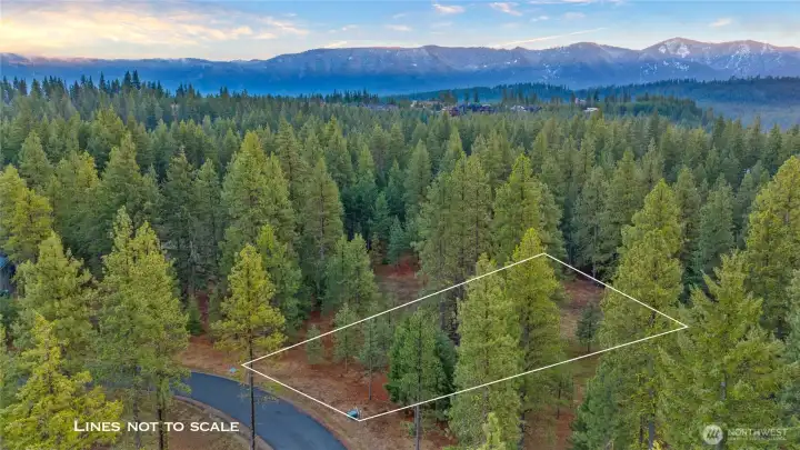 Aerial view of property