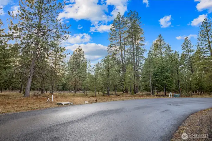 Street view of property