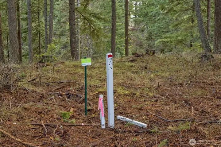 Back property corners