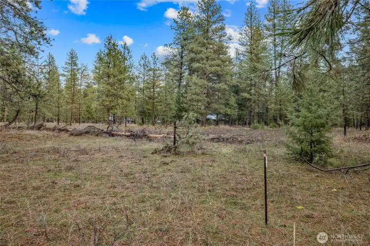 Building envelope identified with topo survey already completed!