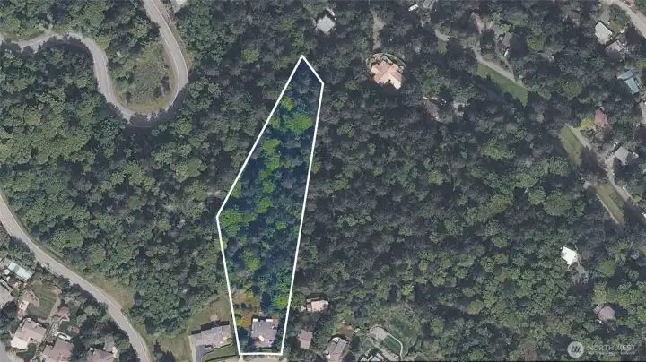 Huge property to explore with potential to open up Lake Sammamish views.