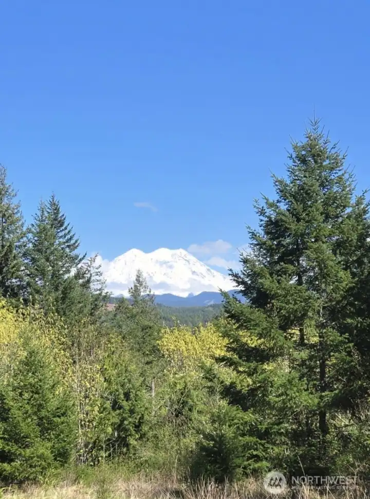 From the top of the building site enjoy views of Mr. Rainier in all her glory!