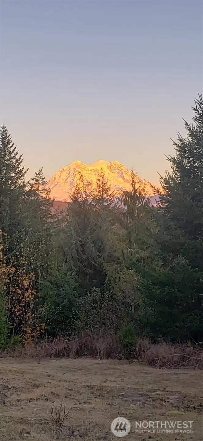 Beautiful sunsets await as native wildlife and grazing deer create a peaceful, natural setting throughout the property.