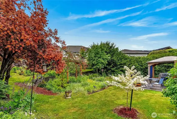 Backyard and gardens Backyard and gardens