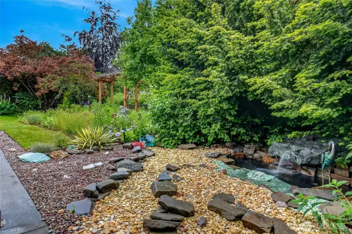 Backyard Backyard