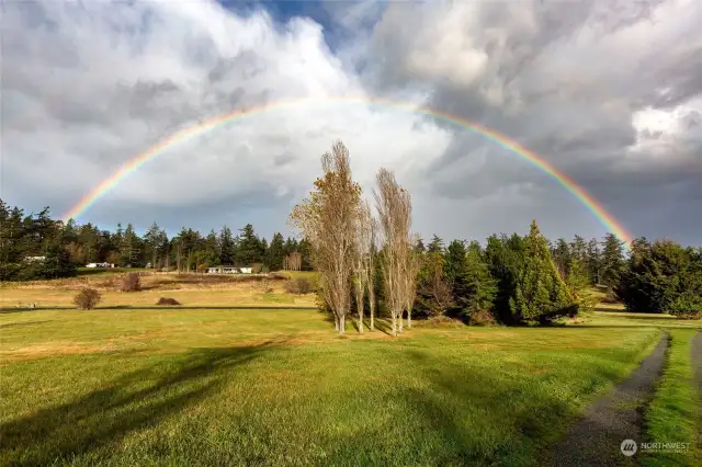 Pot of Gold!