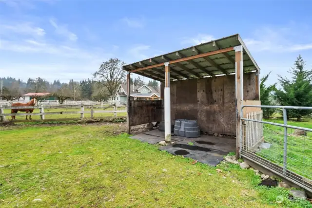 Loafing Shed For The Horses