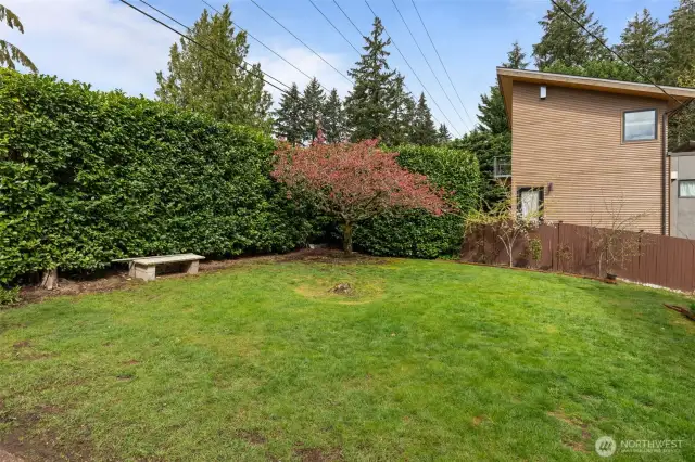 Front Yard
