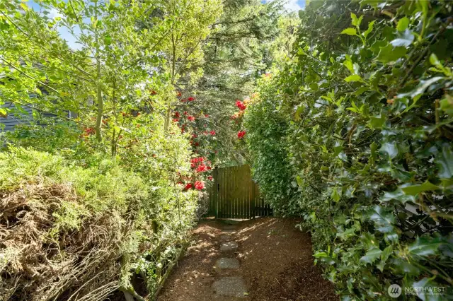 Garden path to back yard