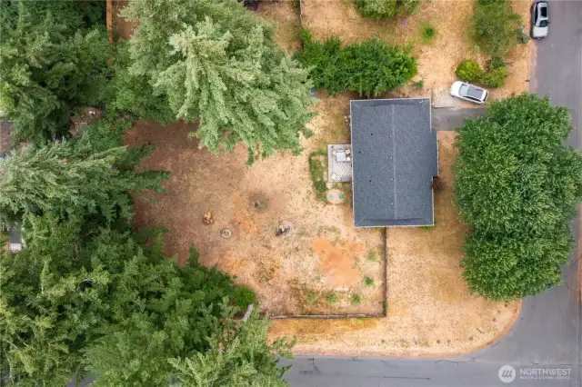 The established landscape and newly planted trees offer added privacy