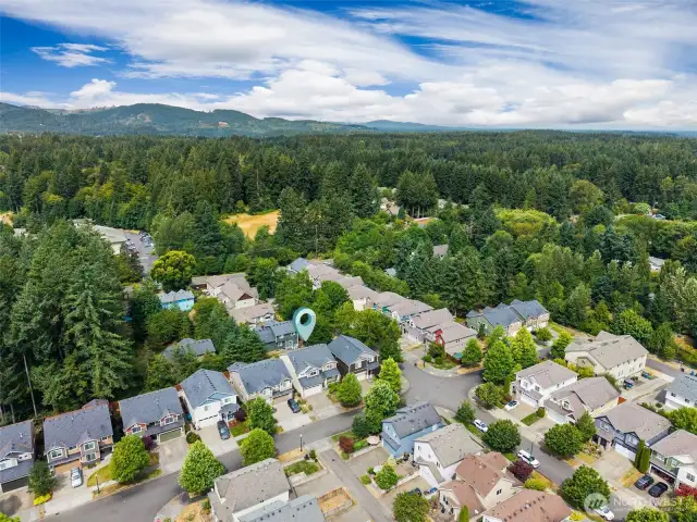 Here’s a bird’s-eye view of what makes this West Olympia location so special. Tree-lined streets, mature evergreens, and rolling hills create a backdrop you won’t find anywhere else.