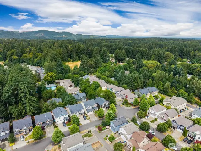 Just a short stroll from Grass Lake Nature Park, with 171 acres of green space and a peaceful one-mile loop trail, you’re never far from nature.