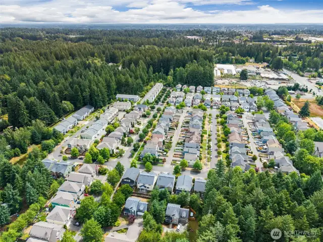From above, you can see how this neighborhood is perfectly positioned for convenience and adventure. Hop on Hwy 101 and be at the Pacific Ocean beaches in just over an hour….talk about easy weekend getaways. Plus, with a quick connection to I-5 and South Puget Sound Community College just minutes away, everything you need is right at your fingertips. For local treats and garden delights, you’re within strolling distance to Blue Heron Bakery and Watson’s Nursery. It’s the perfect spot to enjoy both city and coastal living.