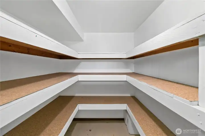 Large lower level closet.