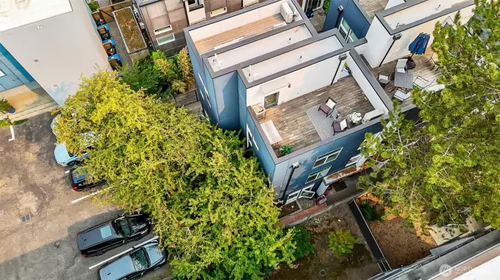 Aerial - Roof Deck and Yard