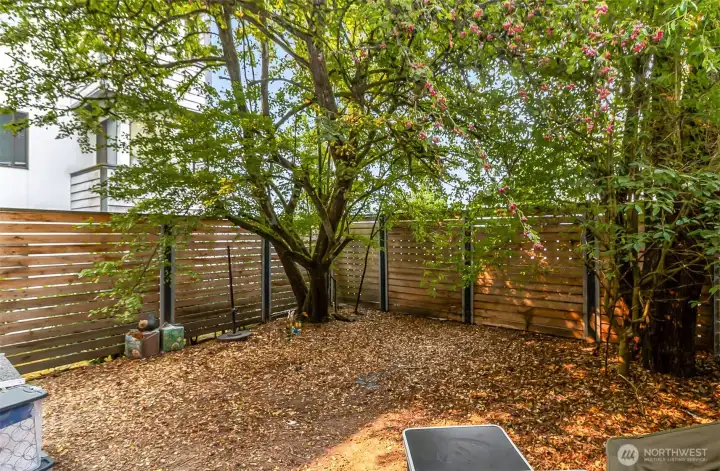 Private oasis in the city